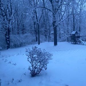 Meet your Posher, Niki